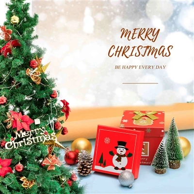 Silent Night, Bright Blessings